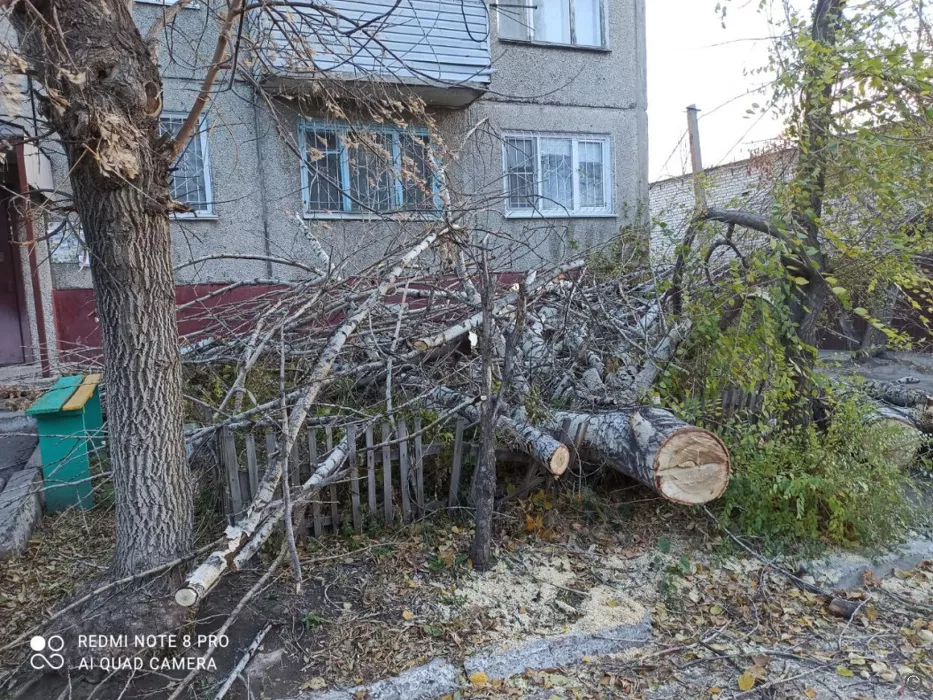 В Алтайском крае ликвидируют последствия мощного урагана и первого обильного снегопада