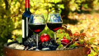 Итальянские страсти: вино Монтепульчано