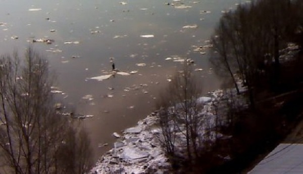«Путешествие» шестилетнего бийчанина на льдине прервали спасатели