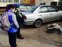 В Барнауле неизвестные отравили 15 бездомных собак