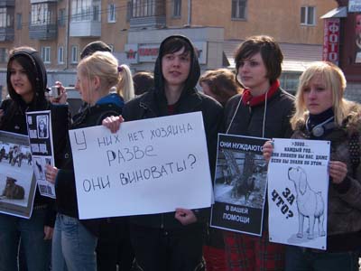 &quot;Не убивайте, а помогите!&quot;: в Барнауле прошел пикет против
убийства бездомных животных.