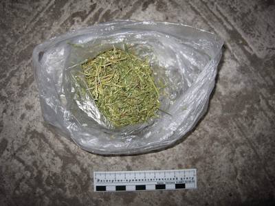 Более 30 кг марихуаны изъяли алтайские наркополицейские 
за первый месяц 2010 года.