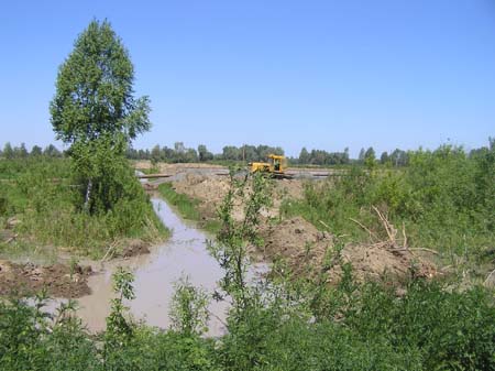 Большая часть участка под застройку элитного поселка &quot;Чистые
пруды&quot; под Барнаулом из-за разлива Оби превратилась в болото.
Фото.