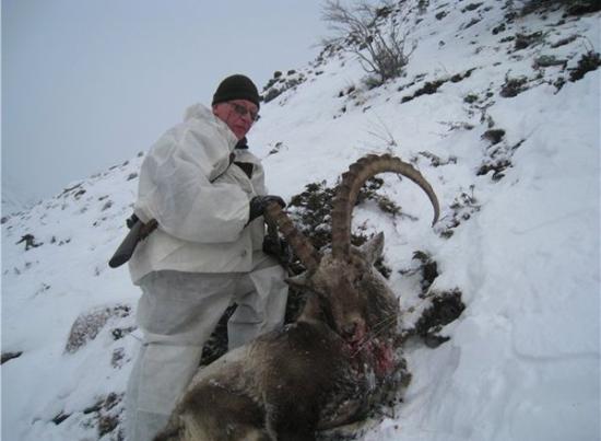 Трофейная охота в ноябре: увидеть и убить козерога в горах Алтая.