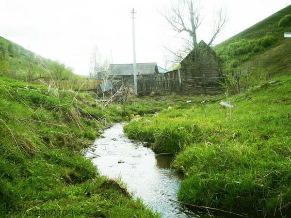 Единственная деревня осталась на карте Алтайского края. Фото.