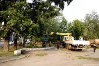 Помолясь и благословясь: в Бийске вырубают зеленую зону под строительство православного храма и парковки