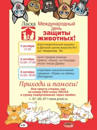 Приют «Ласка» проведет несколько акций к Международному дню защиты животных