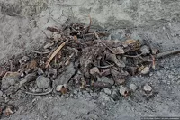 Барнаульский сталкер «копает» под чиновников, допустивших осквернение могил в Нагорном парке