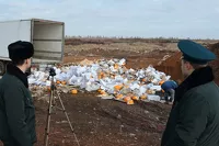 Все справжнє: в Поволжье уничтожили 117 тонн «настоящего» алтайского сыра из Украины