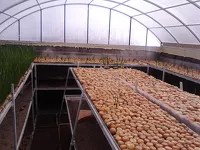 «Золотая луковица»: сварщик из Бийска прославился на YouTube «кустарным» хозяйством