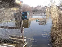 Подтопленный приусадебный участок в Рубцовске