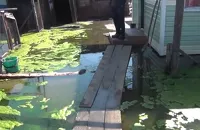 Затопленный приусадебный участок в Рубцовске