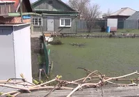 Покрытый водой огород в Рубцовске