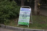 Барнаульские «озеленители» с помпой анонсировали высадку четырех деревьев
