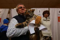 Тигрята порадовали и членов избиркома, и избирателей