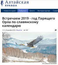 Белоголовый орлан - символ 2019 года по версии «Алтайской правды»