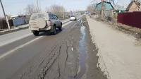 При таком подходе в Барнауле никогда не будет чисто