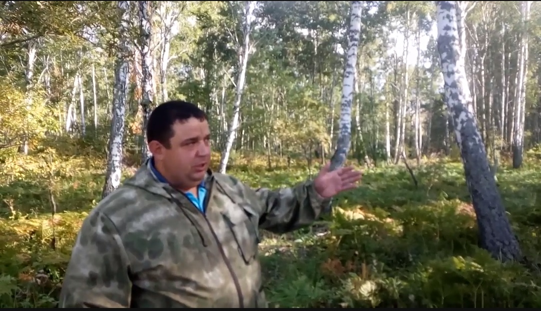 Замдиректора по лесохозяйственной деятельности ООО «Косихинский лесхоз» показывает лес после рубок