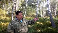 Замдиректора по лесохозяйственной деятельности ООО «Косихинский лесхоз» показывает лес после рубок
