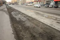 На данный момент озеленение в Барнауле проходит вот так