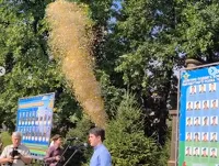 Конфетти на площади Горно-Алтайска 2 августа
