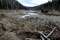 Участок реки после добычи золота в Алтайском крае