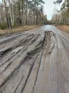 Груженые свеклой грузовики превратили в «грязное месиво» межпоселковую дорогу в Алтайском крае