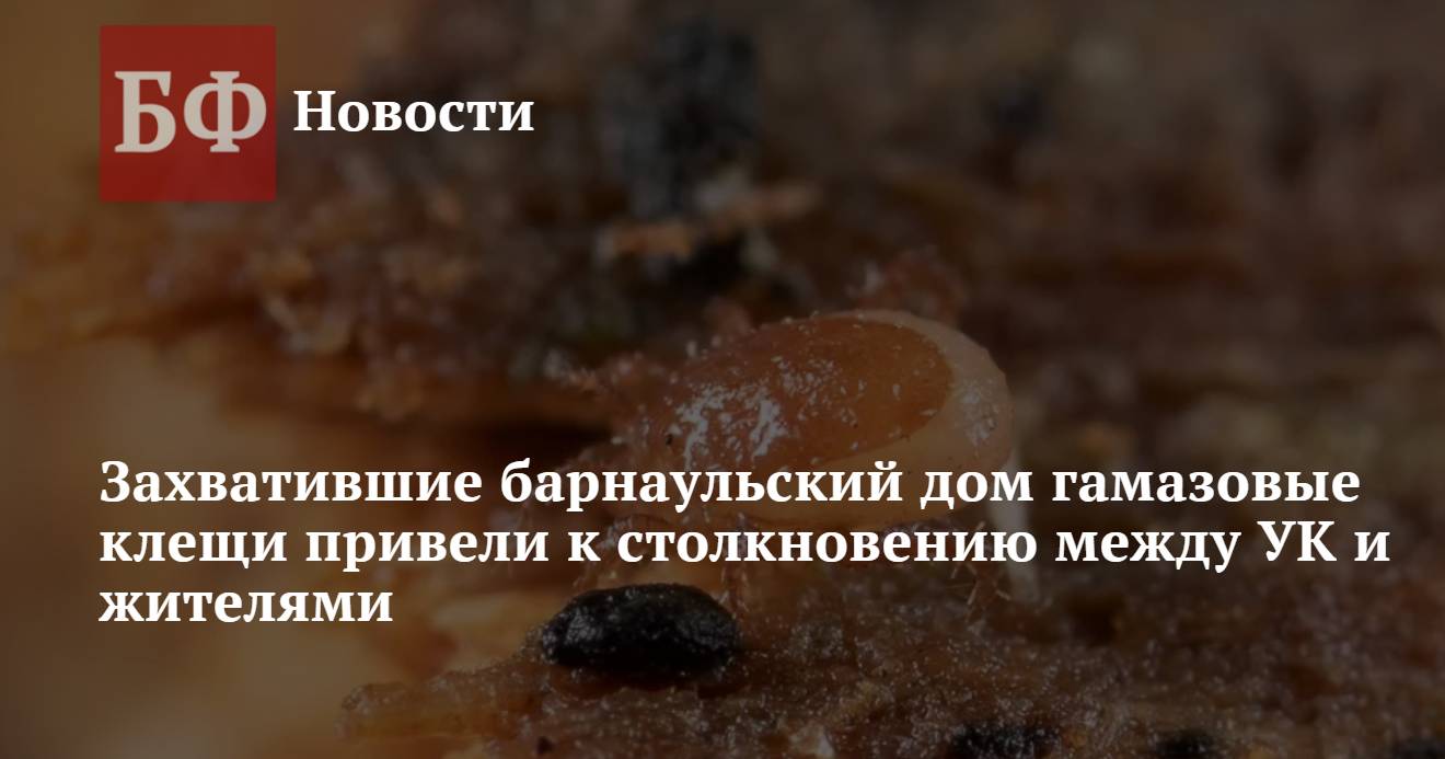 Захватившие барнаульский дом гамазовые клещи привели к столкновению ...