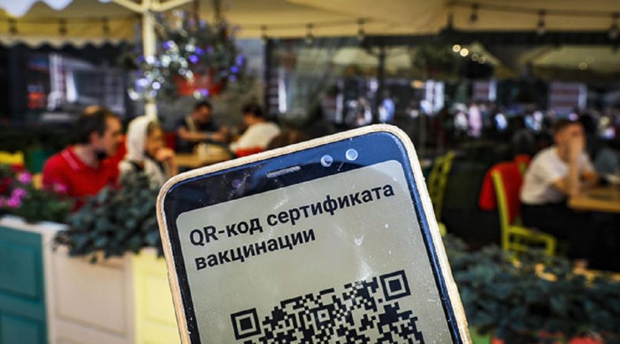 Эксперты от медицины и депутаты Алтайского Заксобрания предварительно одобрили законопроект о QR-кодах