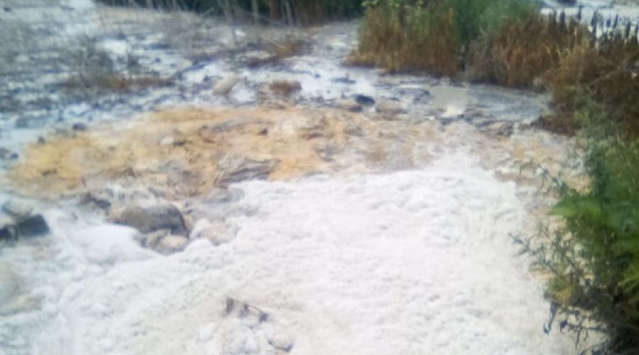 Снимки с полей фильтрации 2019 года