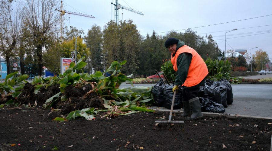 В бывший барнаульский «Горзеленхоз» «подсадили» нового руководителя из администрации района