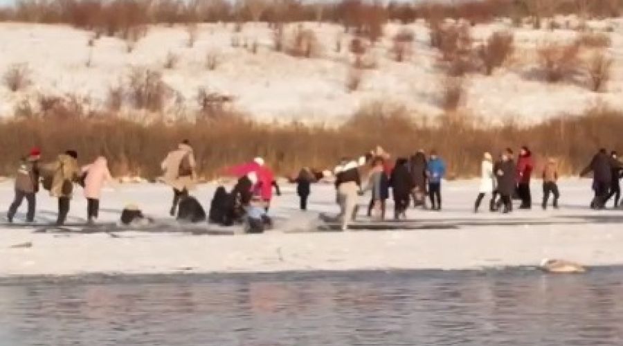 Лебединая песня