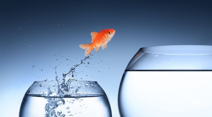 Ожидания на 2022 год у всех разные