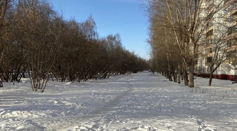 Тротуар не чистили всю зиму
