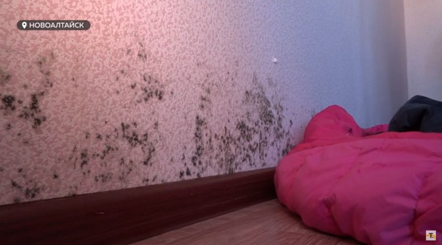 Следком и прокуратура заинтересовались очередным скандалом с некачественных жильем для алтайского сироты