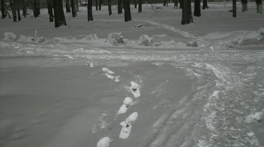В поселке не осталось белого снега