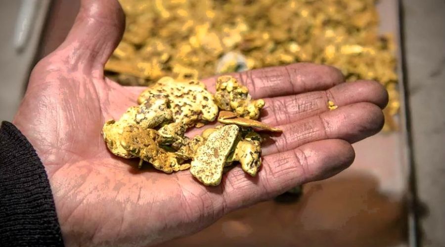 На&nbsp;Алтае золотодобытчики отдали 3,8 млн рублей за&nbsp;загрязнение реки Чаныш