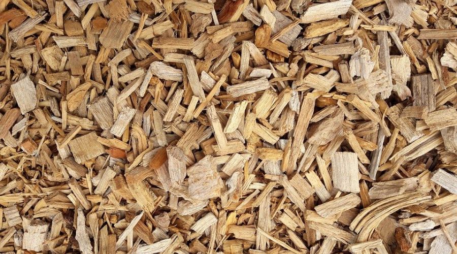 Два района Алтайского края могут перевести котельные на отопление щепой