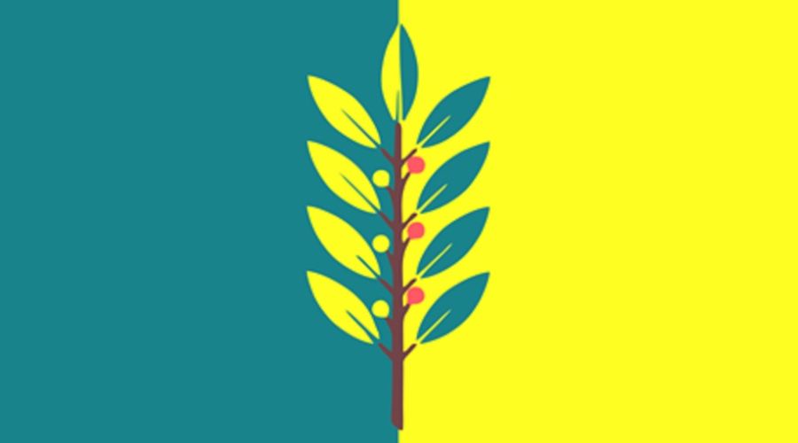 Славгород официально обзавелся флагом в довесок к гербу и гимну