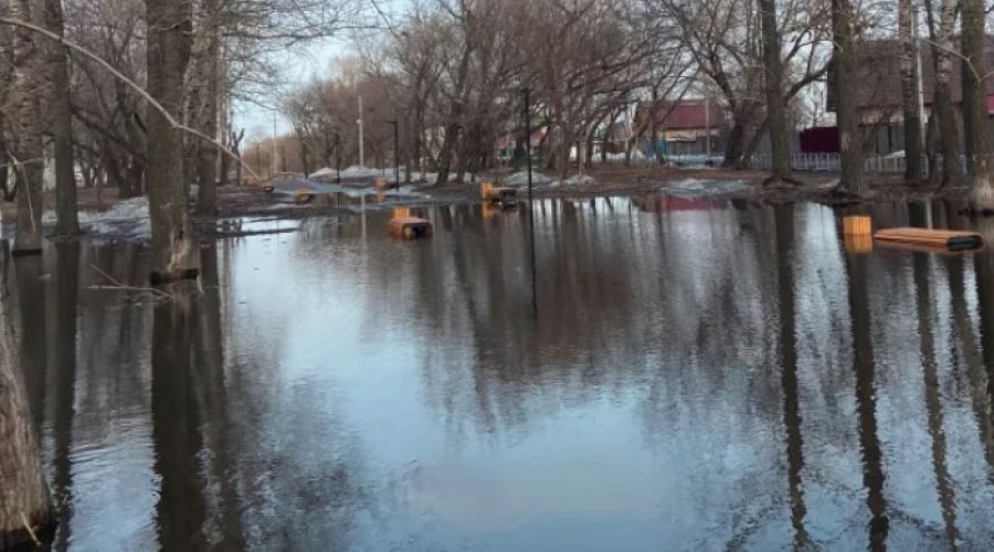 В Бийске «свежий» сквер стоимостью 17 млн рублей ушел под воду