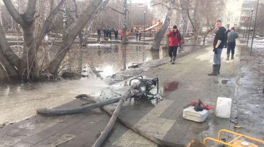 Облагороженная в прошлом году Мизюлинская роща в Барнауле «поплыла» с приходом тепла