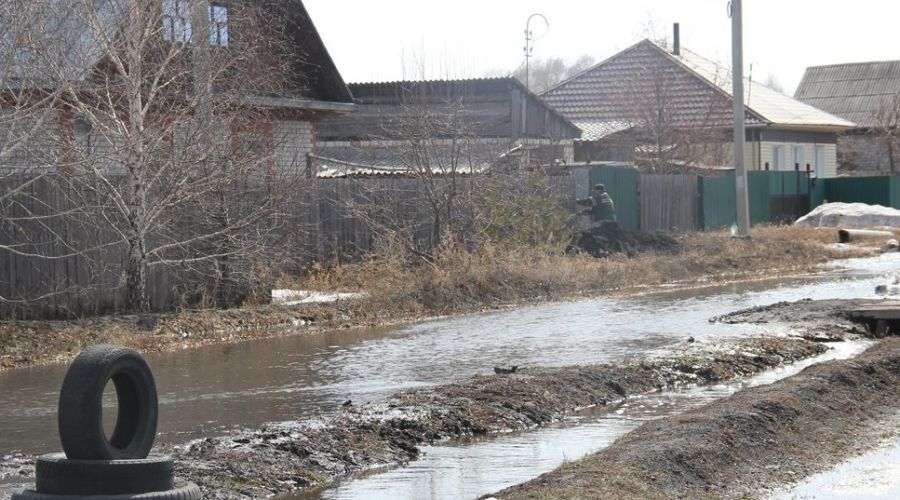 Ситуация в Камне-на-Оби