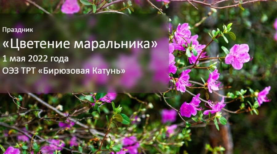 Дата и место проведения были объявлены в начале апреля