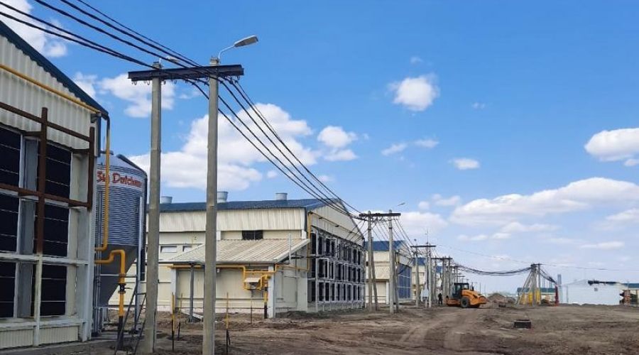 «Черкизово» через год планирует нарастить производство мяса птицы в Алтайском крае почти на 20 %