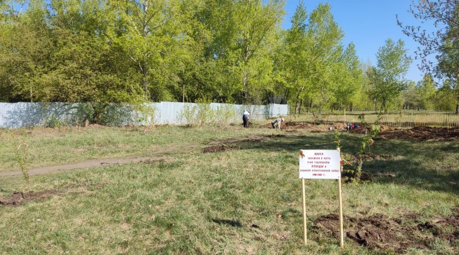 Вид на ту самую аллею