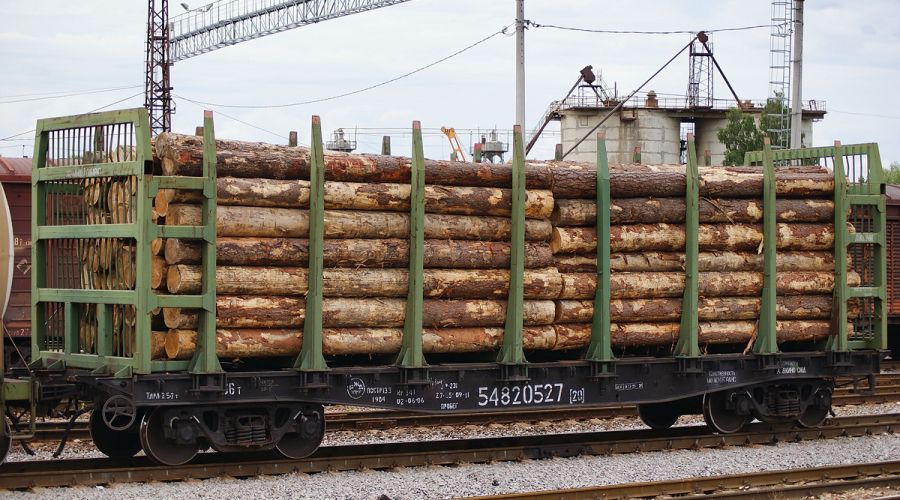 Фото иллюстративное