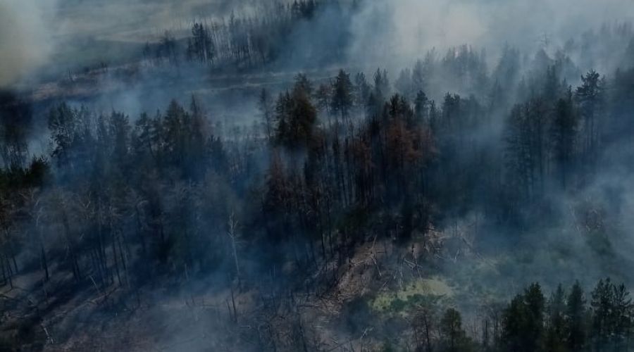 В РЖД не подтвердили версию алтайского Минприроды о масштабном пожаре из-за искр от поезда