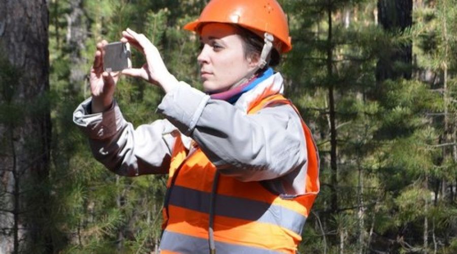 Никогда такого не было и вот опять