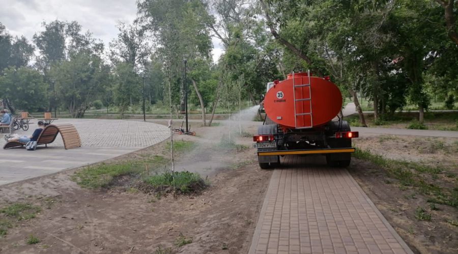 С приходом дождей и прохлады можно усилить полив