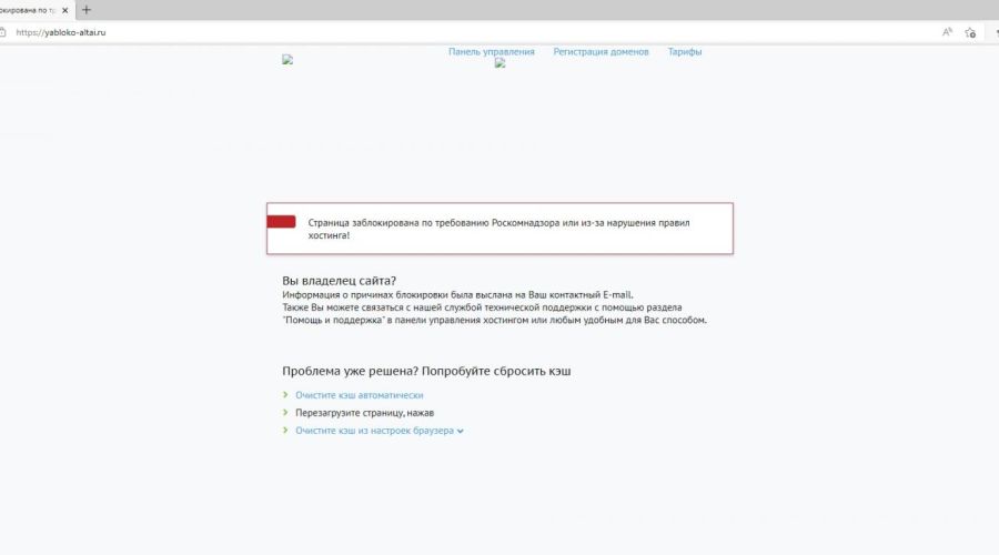 Роскомнадзор заблокировал сайт алтайских «яблочников» по требованию Генпрокуратуры